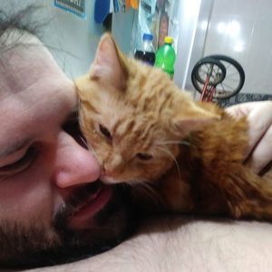 Meet your Posher, Julia